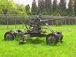 cannon on the grass