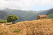 bergerie corse bergerie corse