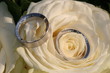 hochzeitsringe