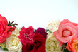 fleur 034 fleur 034