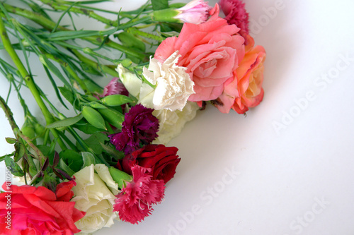 fleur 038 fleur 038