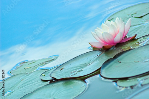 photo par snaporama