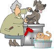 pet groomer pet groomer