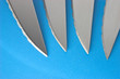 steak knifes