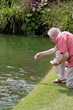 feeding the fish