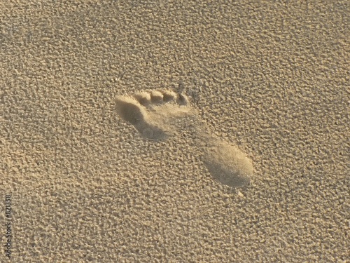 le pied