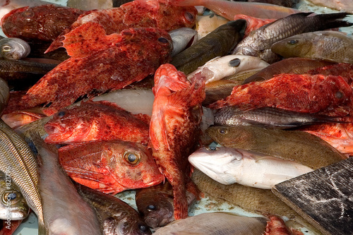 bouillabaisse bouillabaisse