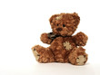 teddy bear