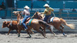 steer wrestlers