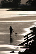 beach silhouette