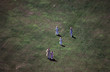amish wave