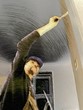 worker - painter