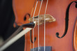 violin violin