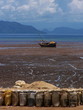 marée basse à nosy bé