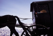 amish wagon