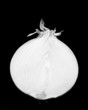 onion half
