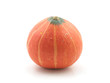 japanese pumpkin