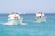 boats