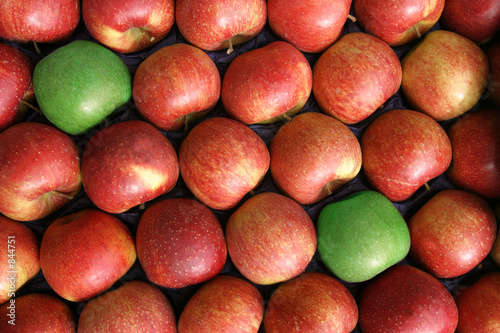 pommes pommes