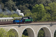train