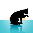 cat licking its paw on a blue floor