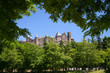 castle in the forest