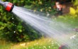 spritze