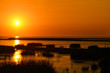 norddeichs sonne norddeichs sonne