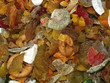 candied mixed fruits