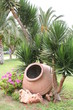 mediterrane gartenanlage