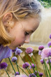young girl smelling purple flowers. young girl smelling purple flowers.