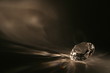 imitation of the diamond