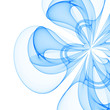 blue flower