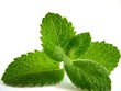menthe