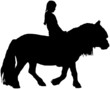 ponyride