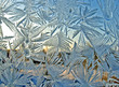 icegames in the window