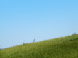 simple nature