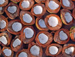 coconut