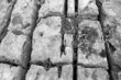 mikroschluchten mikroschluchten