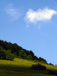 sunny hill
