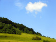 bright landscape