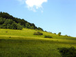 peace in nature
