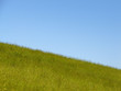 sky is blue grass is green