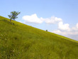 perfect landscape