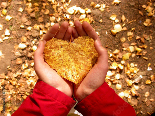 Photo: lovely autumn lovely autumn