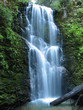 berry creek falls berry creek falls