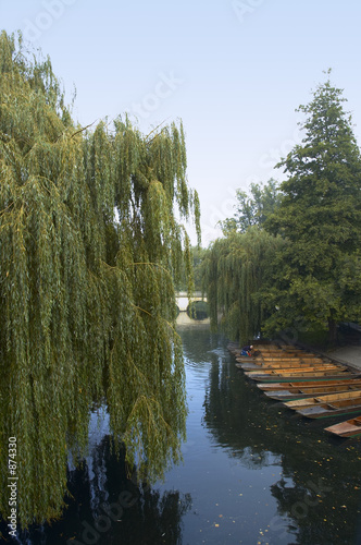 cam river view, cambridge cam river view, cambridge