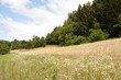 sommer 3