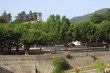 le village