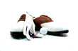 golf shoes